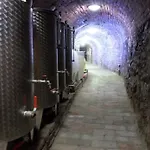 Privat Bohemia Šatov