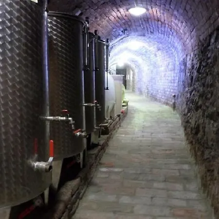 Privat Bohemia Šatov