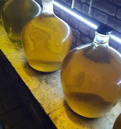 Pensjonat Privat Bohemia Šatov