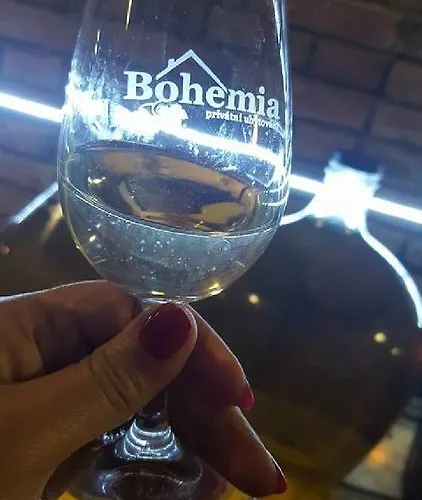 Privat Bohemia 3*